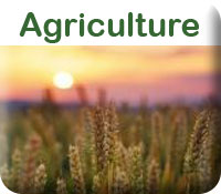 Agriculture.jpg