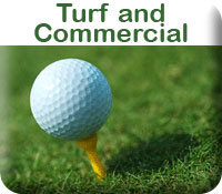 Turf.jpg
